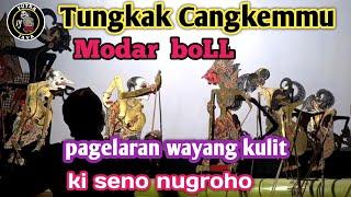 tungkak cangkemmu modar boLL#wayangkulit#dalangseno #kisenonugroho