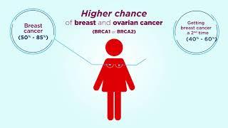 3. Understanding More About Breast Cancer Protection Genes BRCA1 and BRCA2