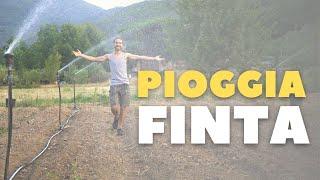 IRRIGAZIONE A PIOGGIA (fa troppo caldo)