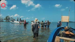Yayasan Wanadri melakukan penanaman dan pemeliharaan 10.000 bibit mangrove di Belitung.