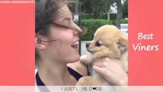 Amanda Cerny Vine compilation (ALL VINES) Best Viners