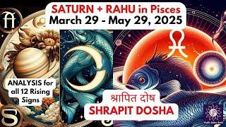 Saturn Rahu Conjunction (Mar - May 2025) Remedies for all 12 Signs