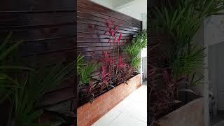 MEU JARDIM NA GARAGEM | Frescurinhas da Bia #jardim #jardimemcasa #decoração #shortsviral #shorts