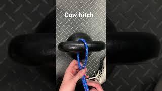 How to tie a cow hitch knot