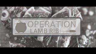 CosFilm : OperationLamRib