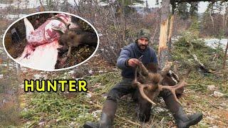 A Man Captures Wolves And Deer For A $500,000 Prize; 900 Pounds Of Deer Meat Is Too Much To Finish.