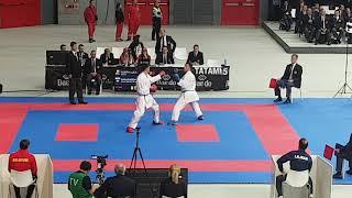 Amir Valadkhani karate Dojo Kelkheim Budocenter