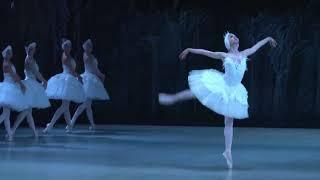 'Swan Lake  White act'  Ato de Swan Lake White