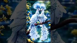 White Beautiful birds #birds #amazing #birds #beautiful #trending #amazonforest #bird