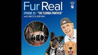 "THE FLORIDA PANTHER" with Becca Bryan