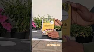 Unboxing bio pesticides  ️triple attack ️biopesticides biopesticide meaning