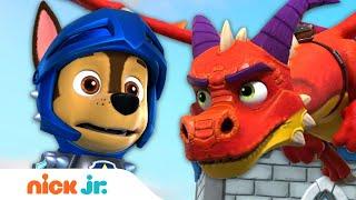 PAW Patrol Rescue Knights Stop Fire Breathing Dragon!  | Nick Jr.