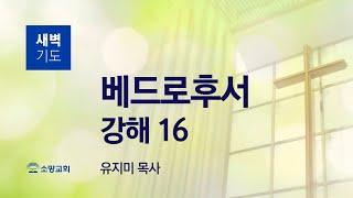 [소망교회] 베드로후서 강해(16) / 벧후 3:17~18 / 새벽기도회 / 유지미 목사 / 20240628