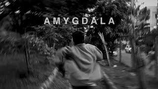 AMYGDALA | A short film | Shot on Redmi Note 8 Pro