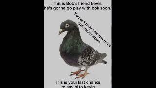 This is kevin