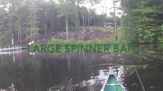 Pawtuckaway Lake bass fishing NH