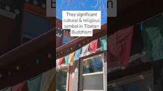 What are Prayer Flags?   #buddhism #religion #meaning  #whatisthis #shorts #spirituality