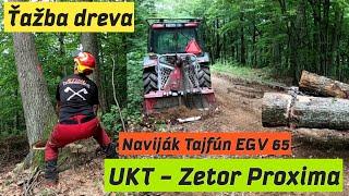 Ťažba dreva v novom poraste s Zetor Proxima, Stihl ms 462, Amles, Forestwork, Felling trees,Niva 4x4