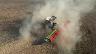 Teil 2 Der Erbsenernte unter erschwerten Bedingungen Claas  Lexion 8900 und Fendt