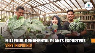 Indonesian Ornamental Plants Exporters