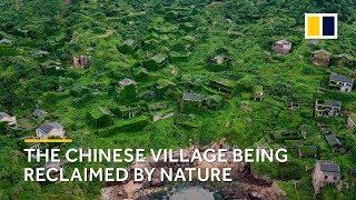 The Chinese ghost village shrouded in greenery