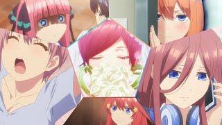 Go Tobun No Hanayome 【AMV】/Op full/"The quintessential quintuplets"