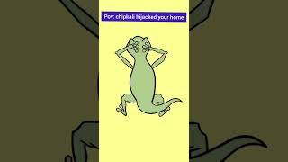 Chipkali hijacked Your Home(animations video)#animation #ytshorts #maryam #viral