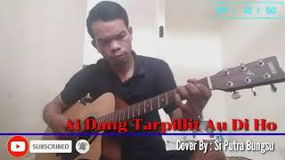 Ai Dang Tarpillit Au Di Ho