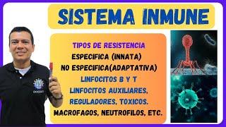 EL SISTEMA INMUNE, INMUNOLOGICO O INMUNITARIO LINFOCITOS B, T, AUXILIARES, ASESINOS, TOXICOS.