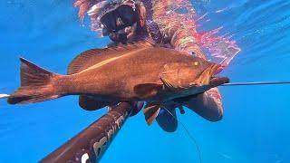 PESCA SUB SARDEGNA: DUE BELLE CATTURE E SCENE MOZZAFIATO!CERNIE CERNIE E CERNIE..