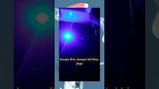 Lampu Led Hias Alat Pengusir TIkus