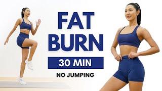 30min STANDING FAT BURNING WORKOUT  No Jumping, No Repeat