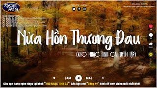 Nửa Hồn Thương Đau, Để Nhớ Một Thời Ta Đã Yêu, Tiễn Đưa - Dòng Nhạc Tình Ca Xưa Nghe Cực Hay