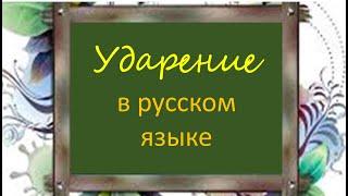 #русскийязык #егэ Ударение в русском языке. Видеоурок