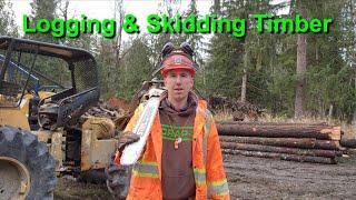 Logging & Skidding Timber In Western Washington