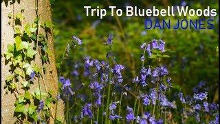 Trip To Bluebell Woods (including ''real-life' short guided story example) Vlog