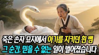 죽은 손자 묘지에서 아기를 지키던 흰 뱀…놀라운 일이 일어났습니다
