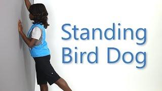 How to do a Standing Bird Dog (Alternate Exercise): Health e-University