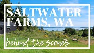 BEHIND THE SCENES: Saltwater Farms, WA