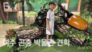 여주 곤충 박물관 견학하기 (Visit Yeoju Insect Museum)