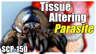 The Tissue Altering Parasite Deriving from Cymothoa Exigua Explored | Off the Record SCP 150