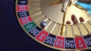 Playing Roulette with cat