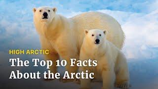 Top of the World: 10 Facts About the Arctic