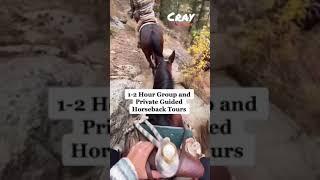 Elkhorn Stables / Wonderful Horseback Riding Colorado  #shorts