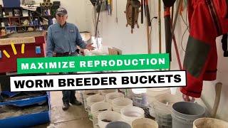 How I Use Worm Breeder Buckets