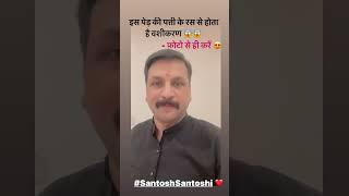 इस पेड़ की पत्ती के रस से होता है दिव्य वशीकरण । संतोषी जी का अनोखा शोध । #santoshsantoshi