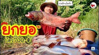 ยกยอ สระสวนส้ม ►Fishing lifestyle Ep.402