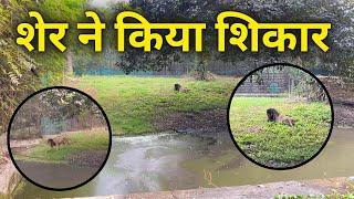 Delhi Zoo Full Tour | दिल्ली चिड़ियाघर | National Zoological Park Delhi | Delhi Zoo