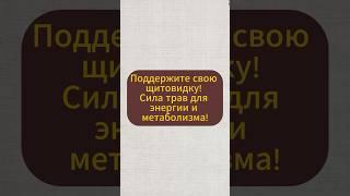 Поддержите свою щитовидку! Сила трав для энергии и метаболизма! #натуральное #травы #народнаямедицин