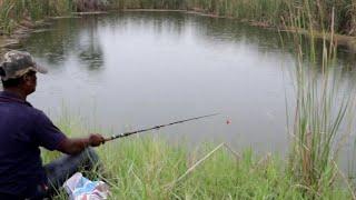 Wonderful fishermen catches fishes|with small hook|fish videos|fish hunting 